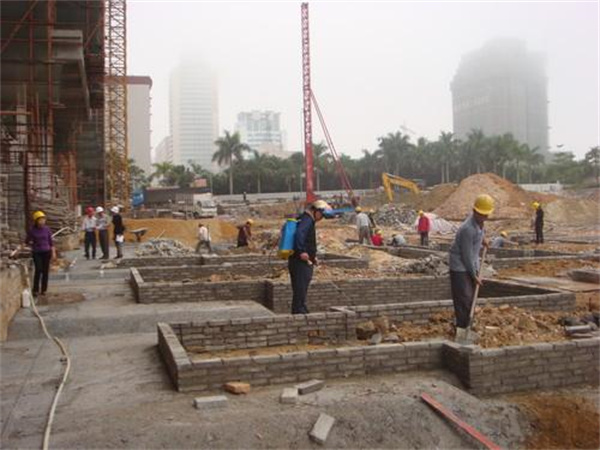 新建房屋白蚁防治